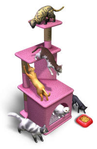Cats on a feline 'Activity Centre'